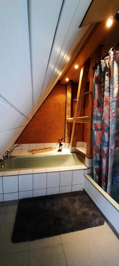Fewo Im Alten Bahnhof Niederrossbach Esterno foto